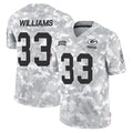 GB.Packers #33 Evan Williams Player Arctic Camo Salute To Service Limited Ldoa Stitched Jerseys