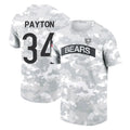 C.Bears #34 Walter Payton Player Arctic Camo Salute to Service Performance T-Shirt Limited Ldoa Stitched Jerseys