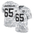 LV.Raiders #65 Tyler Linderbaum Player Arctic Camo Salute To Service Limited Game Ldoa Stitched Jerseys