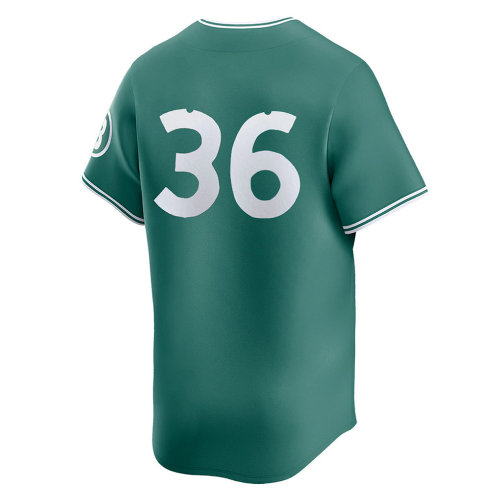Ldoa B.Red Sox #36 Triston Casas Player Green City Connect Limited Home Game Stitched Jerseys