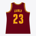 Ldoa C.Cavaliers #23 LeBron James Mitchell & Ness Wine 2015-16 Swingman Jerseys