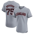 Ldoa C.Guardians #75 Connor Brogdon Player Gray Road Limited Elite Home Stitched Jerseys