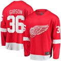 Tuec D.Red wings #36 John Gibson Red Home Breakaway Jerseys