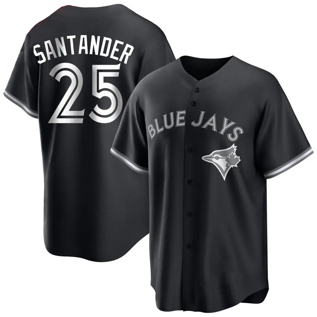 Ldoa T.Blue Jays #25 Anthony Santander Player Black City Connect Limited Stitched Jerseys