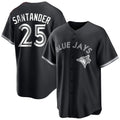 Ldoa T.Blue Jays #25 Anthony Santander Player Black City Connect Limited Stitched Jerseys